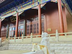 -宝通禅寺