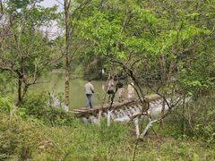 -桤木河湿地公园