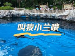 -珠海长隆海洋王国