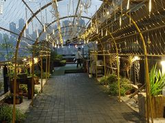 -冰冰龙虾·江湖菜·花园江景餐厅