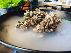 -煲宫猪肚鸡(晶品店)