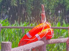 -成都市活水公园