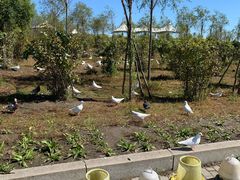 -呼兰河口湿地公园