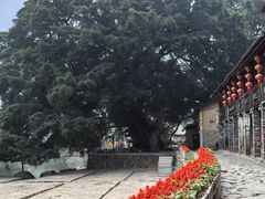 -云水谣景区