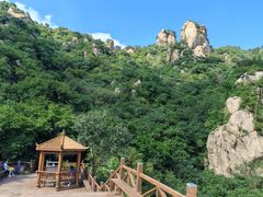 -大岭沟猕猴桃谷风景区