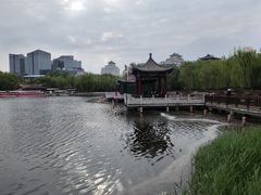 -莲花池公园