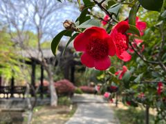 -武汉园博园(武汉自然博物馆)