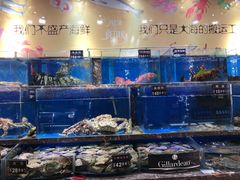 水产区-河马鲜生海鲜超市(风荷园店)