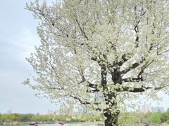 -武汉园博园(武汉自然博物馆)