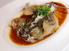 -宝燕壹号景观餐厅(龙盛国际商业广场店)