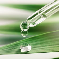 -东方美美容SPA会所