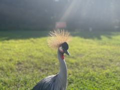 -沈阳森林动物园