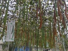 -北戴河集发农业梦想王国