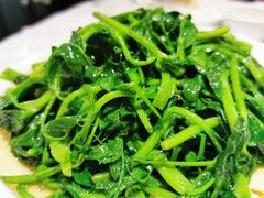 清炒豌豆尖-眉州东坡(远洋未来广场店)