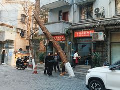 -老街无刺鲫鱼