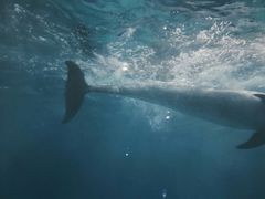 -福州罗源湾海洋世界旅游区