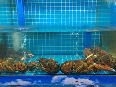 -坛南湾阿强农家乐.海鲜大排档老字号(福州地标美食店)