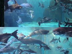 -多彩贵州城极地海洋世界