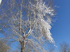 -北京亚布洛尼朝阳公园滑雪场