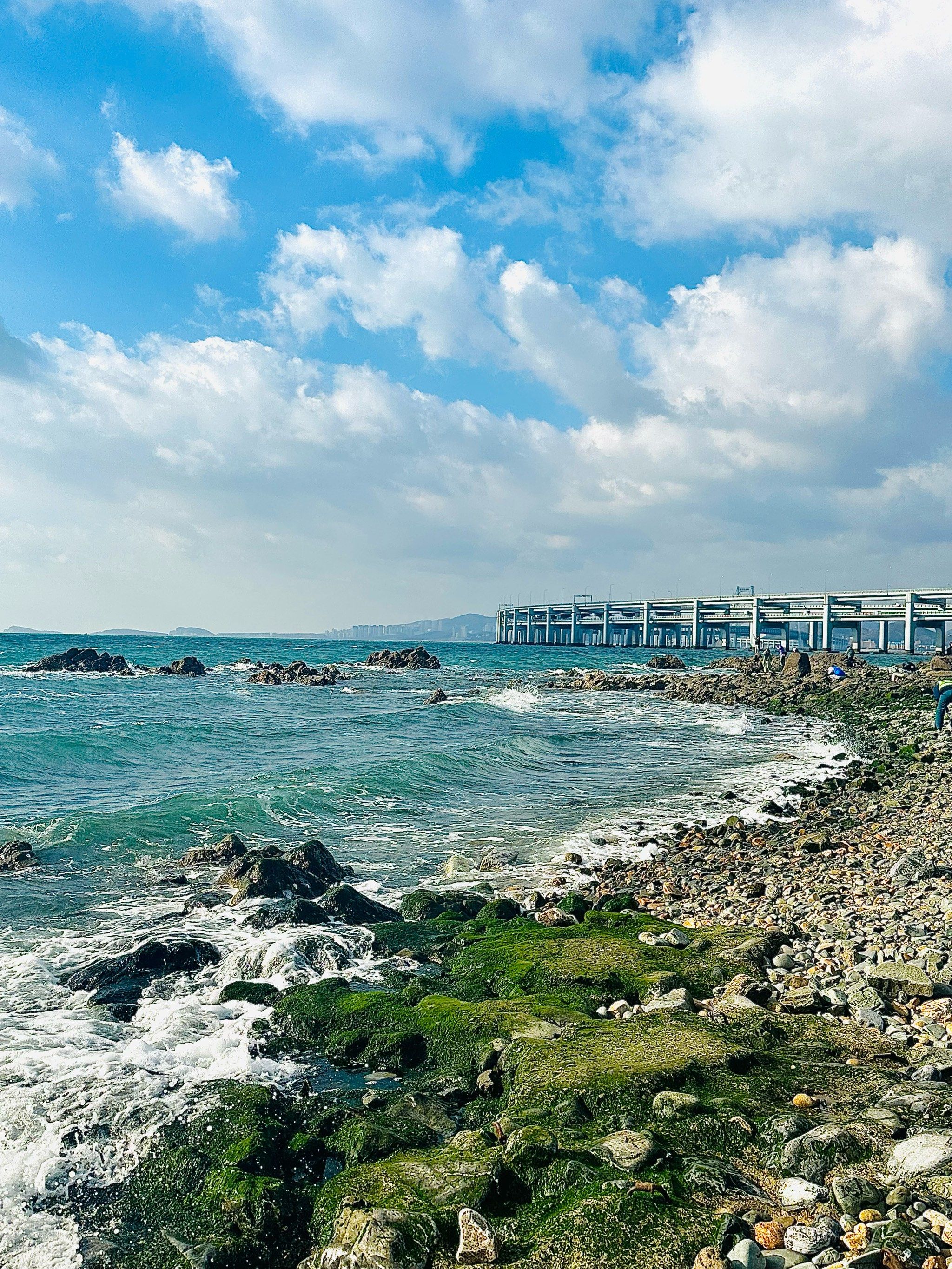 !最美的季节到了🔛