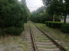 -日照灯塔风景区