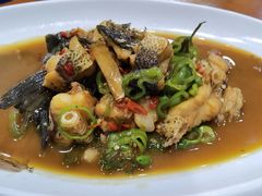 -全乐鱼馆·淳牌有机鱼直营店