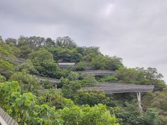 -福道