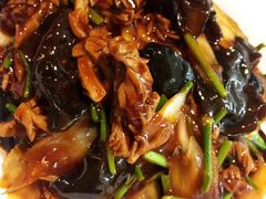 -鸢飞潍坊菜馆(鸢飞大酒店)
