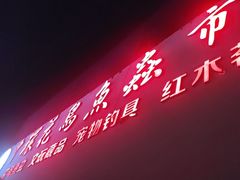 -中环花鸟鱼虫市场