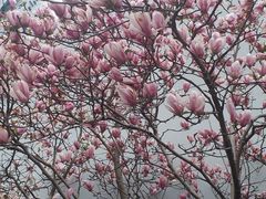 -浦东食品城(华诚大厦店)