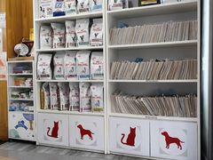 -爱侣宠医·鹦鹉专科·小型哺乳类·异宠专科(灵石路店)