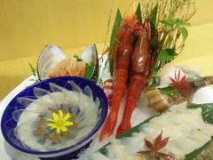 -鲤·鮨KOISUSHI