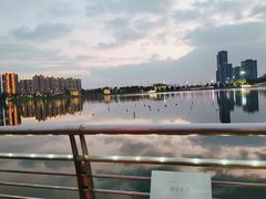 -映月湖中央公园