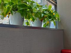 -鱼酷活鱼烤鱼(中联广场店)