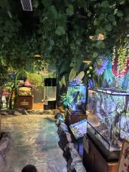 -酷嗒动物文化乐园(cutezoo西溪乐天城店)