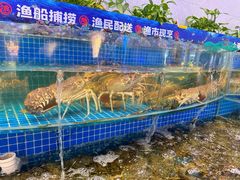 -驻海渔市(置信店)