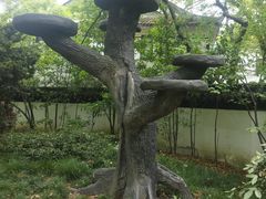 -汇龙潭