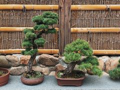 -龙华寺