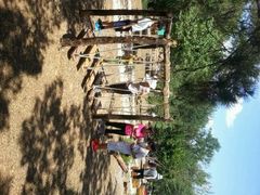 android_upload_pic-北京西山国家森林公园