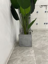-D.z Salon 无痕接发潮店