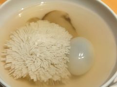 明月雪绒豆腐汤-鹿园 MOOSE(长宁店)