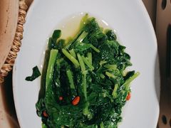 清炒豌豆尖-锦府盐帮·张宅(世纪金源店)