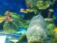 -泉州海丝野生动物世界