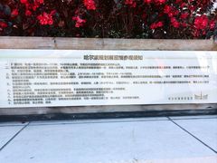 -哈尔滨规划展览馆