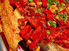 经典香辣口味皮皮鮰-鸣记脆皮烤鱼(岐山路店)