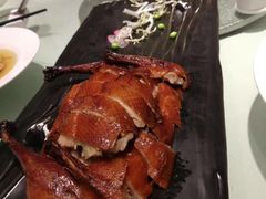 -圆苑(上海广场店)