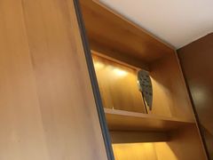 -尚一汤 广东炖汤(金桥国际店)