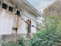-成都动物园