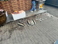 -老四川平头酸菜鱼(衙前店)