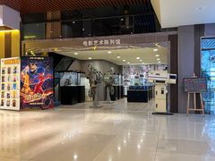 -华美国际影城(旧宫永辉店)